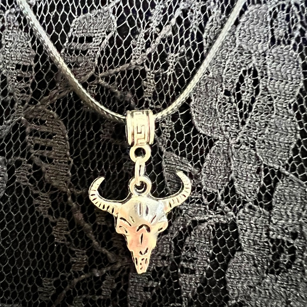 Steer Skull Spooky Necklace with a paranormal vibe